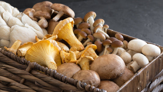 Top Mushrooms for Hormone Balance. Variety of mushrooms in a basket.