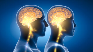 Vagus Nerve: Anatomy, Vagus Nerve Stimulation, and Brain Health featured image