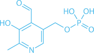 Vitamin B6 featured image