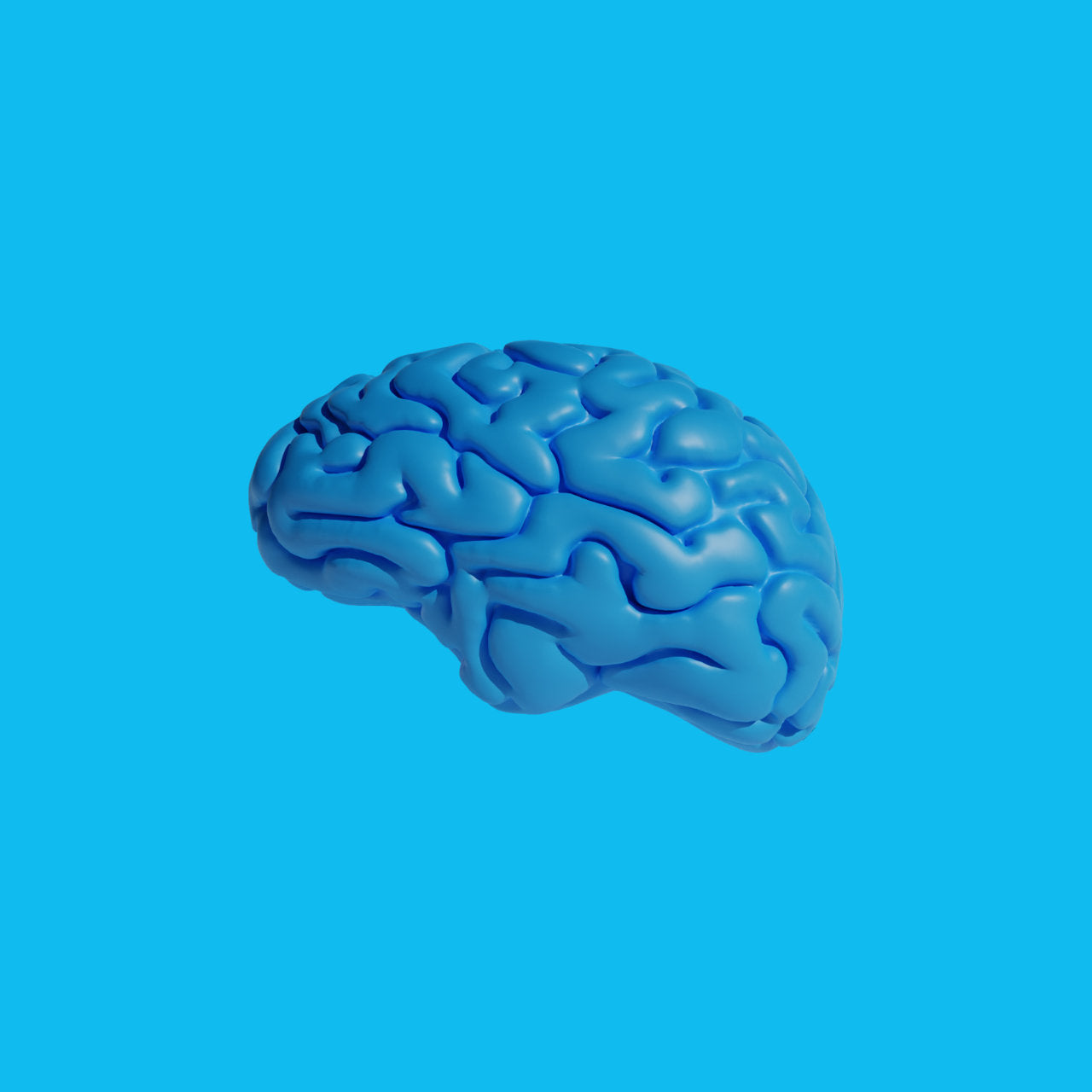 image of a brain